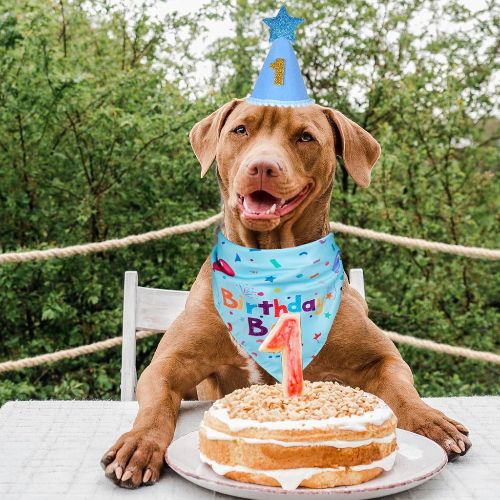 Yicostar Dog Boy - Sombrero para fiesta de cumpleaños, suministros...