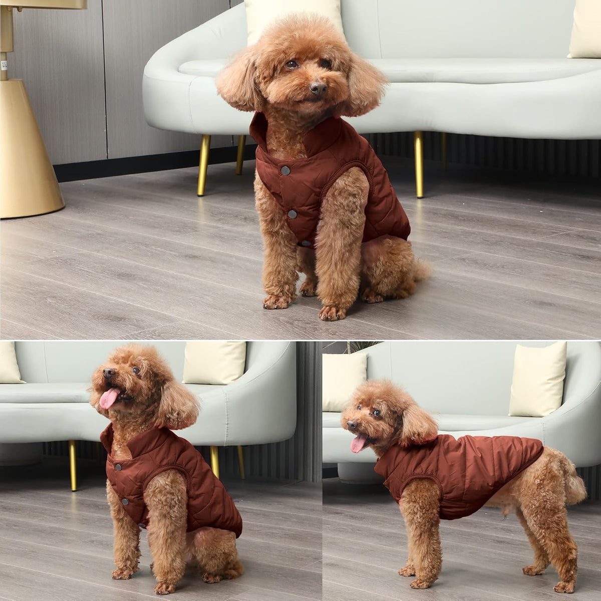 JoyDaog - Chaqueta de forro polar para perro, 2 capas, para cachorr...