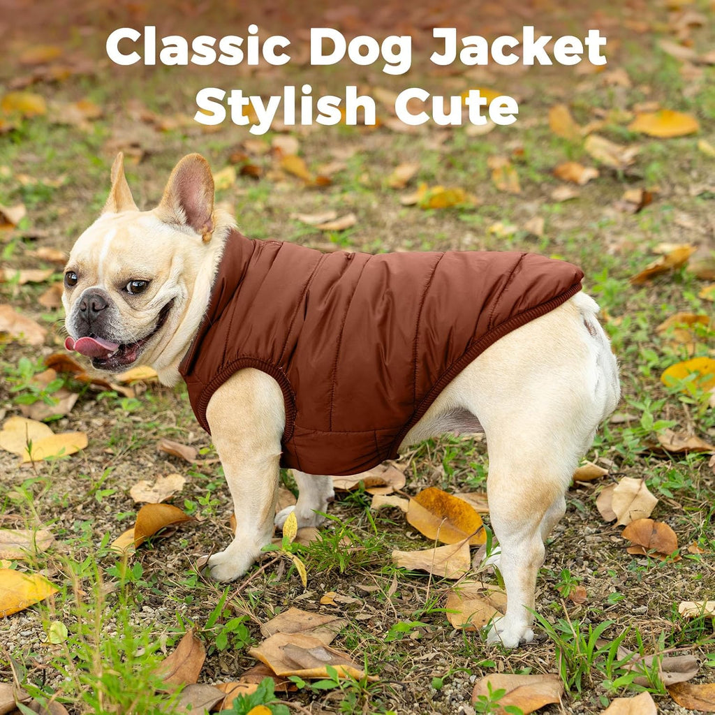 JoyDaog - Chaqueta de forro polar para perro, 2 capas, para cachorr...
