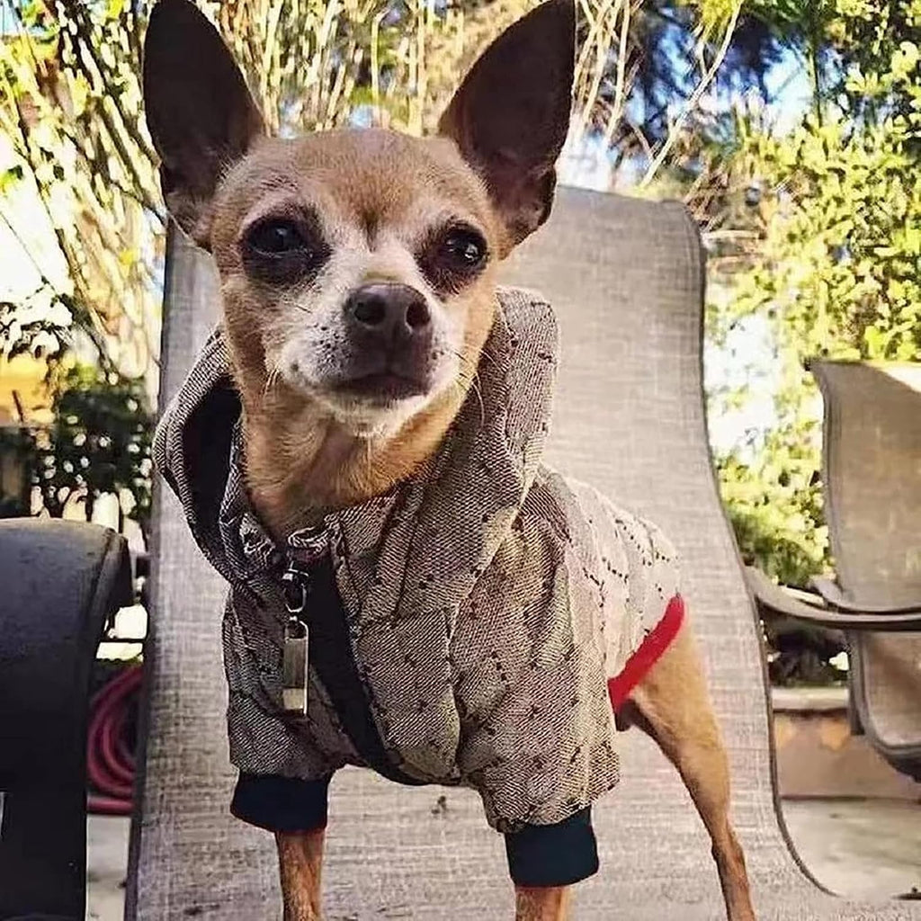 HQREA - Sudadera con capucha para perro, chaqueta de invierno de lu...
