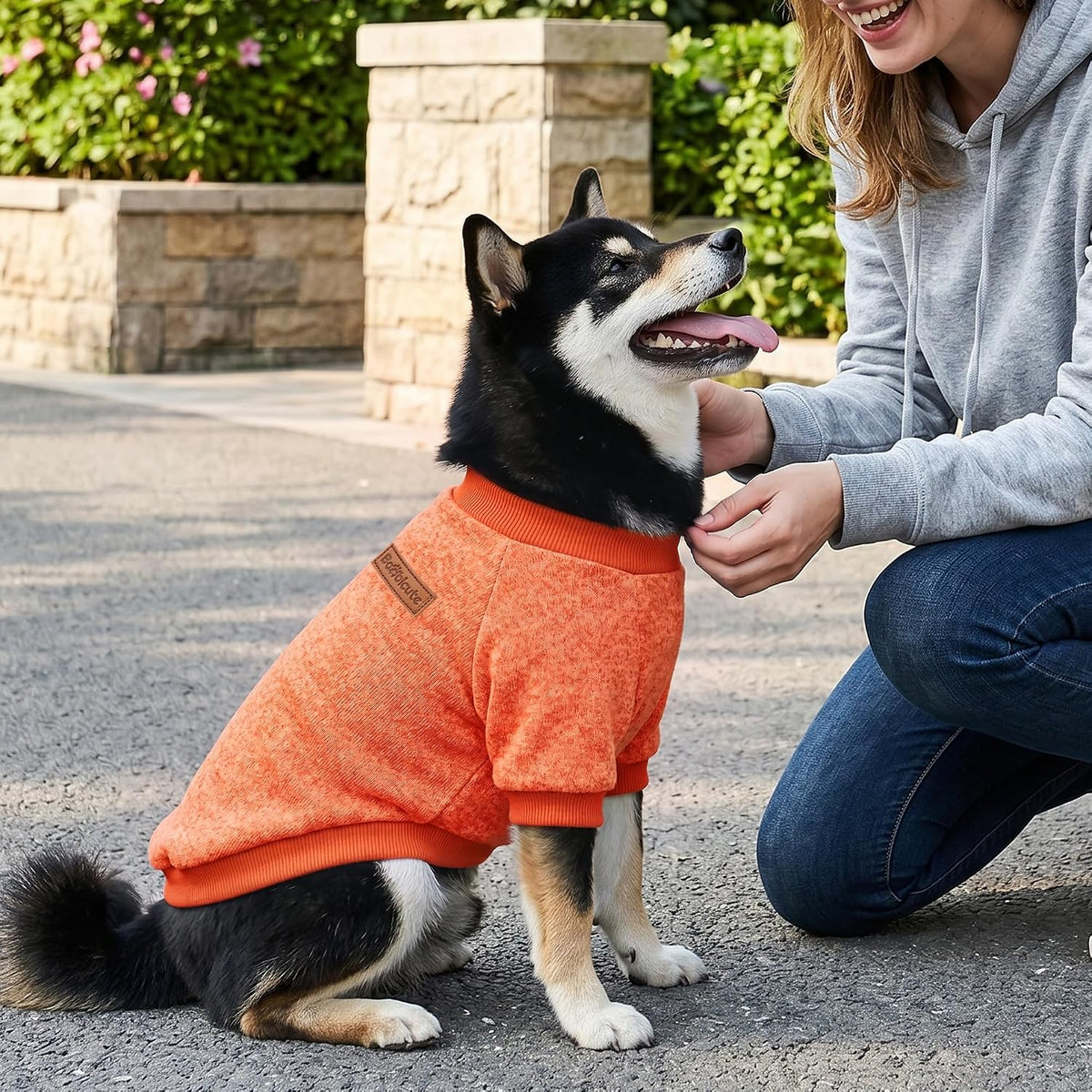 BAOBICUTE Paquete de 3 suéteres para perros pequeños, niñas y niños...
